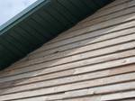 TWII Wedge-Lap Siding / This material is 5/8\